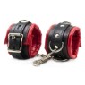 תמונה של אזיקים לרגליים Deluxe Lockable – עם אפשרות נעילה